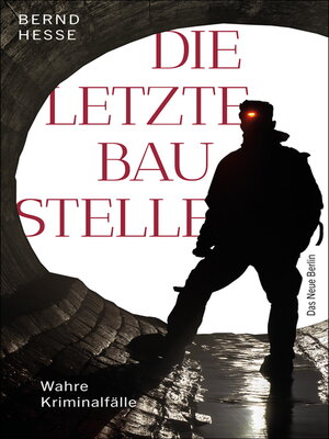 cover image of Die letzte Baustelle